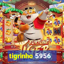 tigrinho 5956